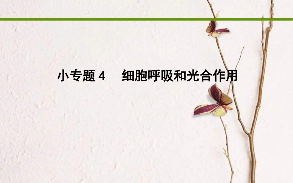 高考生物二轮复习 小专题4 细胞呼吸和光合作用课件(1)_第1页