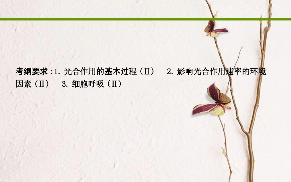 高考生物二轮复习 小专题4 细胞呼吸和光合作用课件(1)_第2页