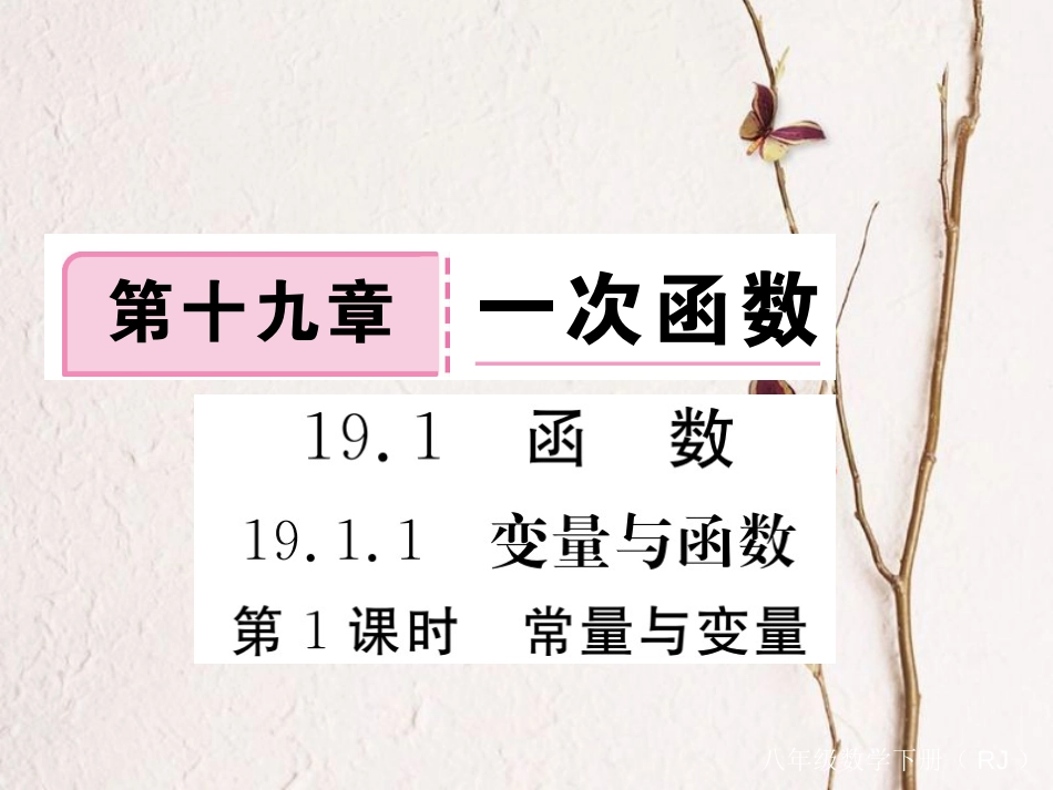 安徽省春八年级数学下册 第19章 一次函数 19.1.1 变量与函数 第1课时 常量与变量练习课件 （新版）新人教版(1)_第1页