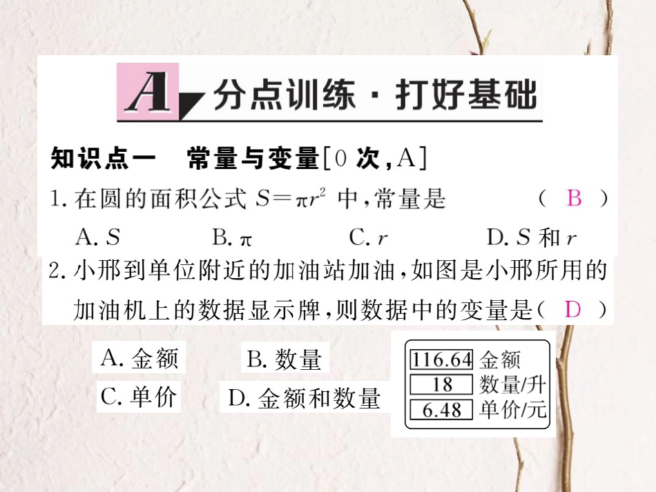 安徽省春八年级数学下册 第19章 一次函数 19.1.1 变量与函数 第1课时 常量与变量练习课件 （新版）新人教版(1)_第2页