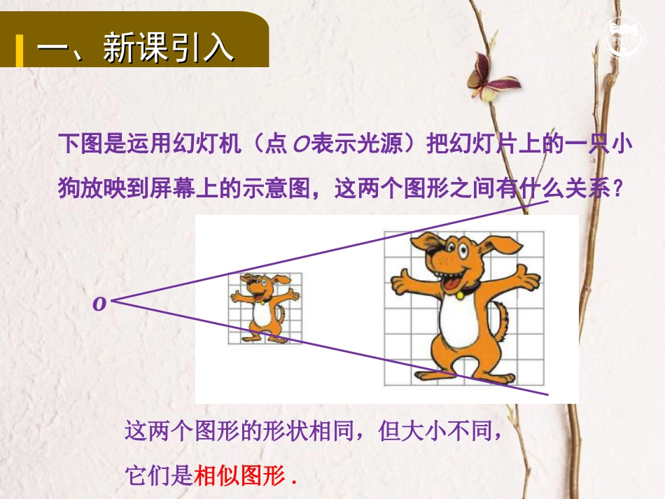 九年级数学上册 第3章 图形的相似 3.6 位似教学课件 （新版）湘教版(1)_第2页