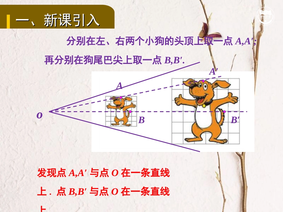 九年级数学上册 第3章 图形的相似 3.6 位似教学课件 （新版）湘教版(1)_第3页