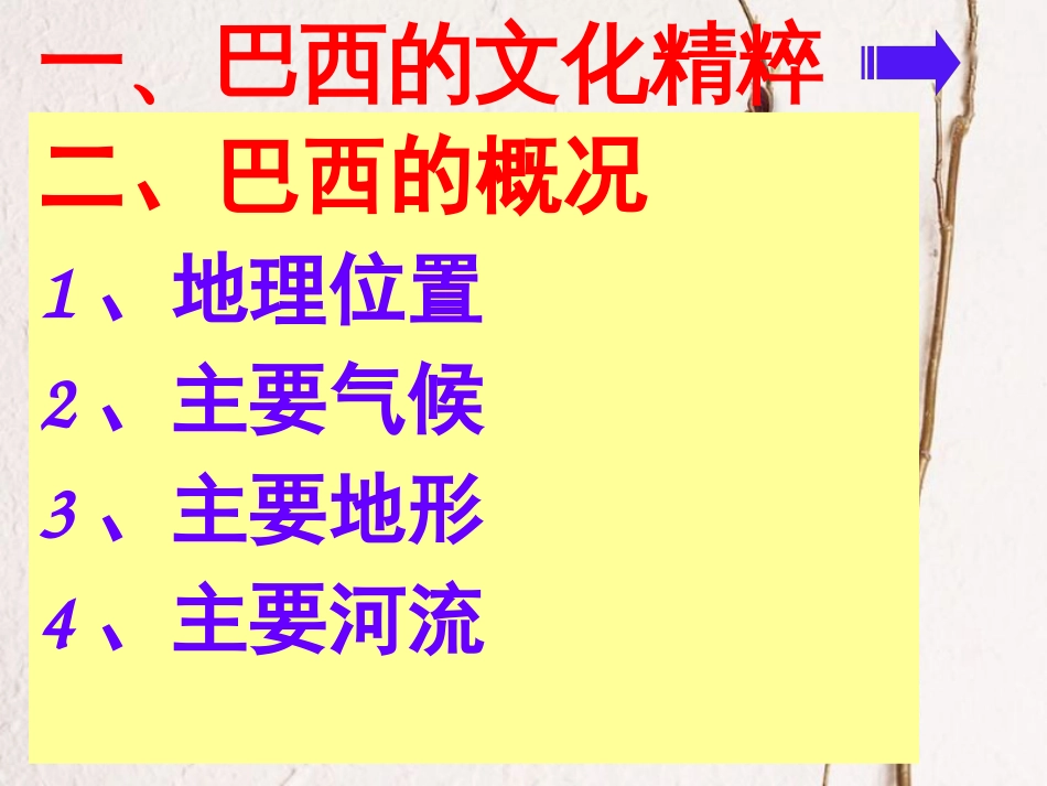 广东省佛冈县七年级地理下册 9.3巴西课件2 （新版）粤教版(1)_第3页