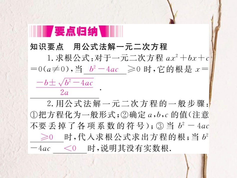 八年级数学下册 第17章 一元二次方程 17.2 一元二次方程的解法 第3课时 公式法导学课件 （新版）沪科版(1)_第2页