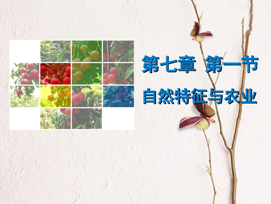 （广东专版）八年级地理下册 第七章 第一节 自然特征与农业导学练课件 （新版）新人教版(1)_第1页