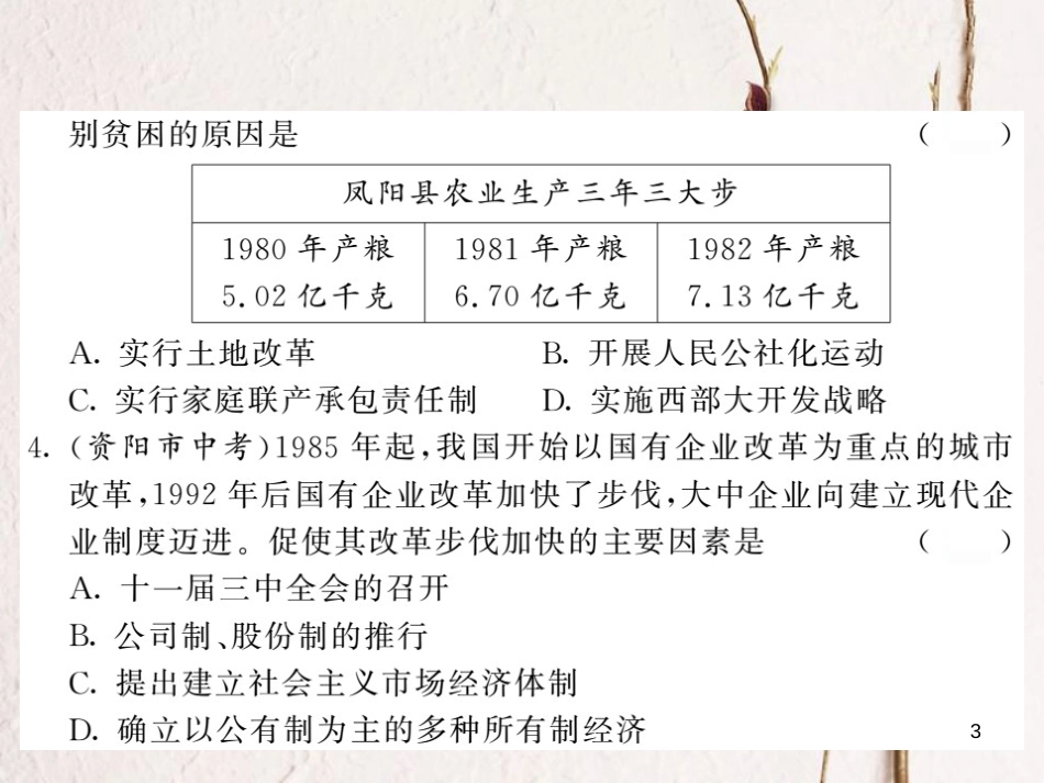 八年级历史下册 第三单元 中国特色社会主义道路综合测试课件 新人教版(1)_第3页