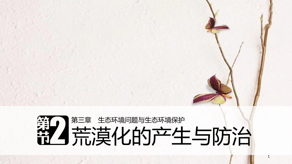 高中地理 第三章 生态环境问题与生态环境的保护 第二节 荒漠化的产生与防治同步备课课件 中图版选修6_第1页