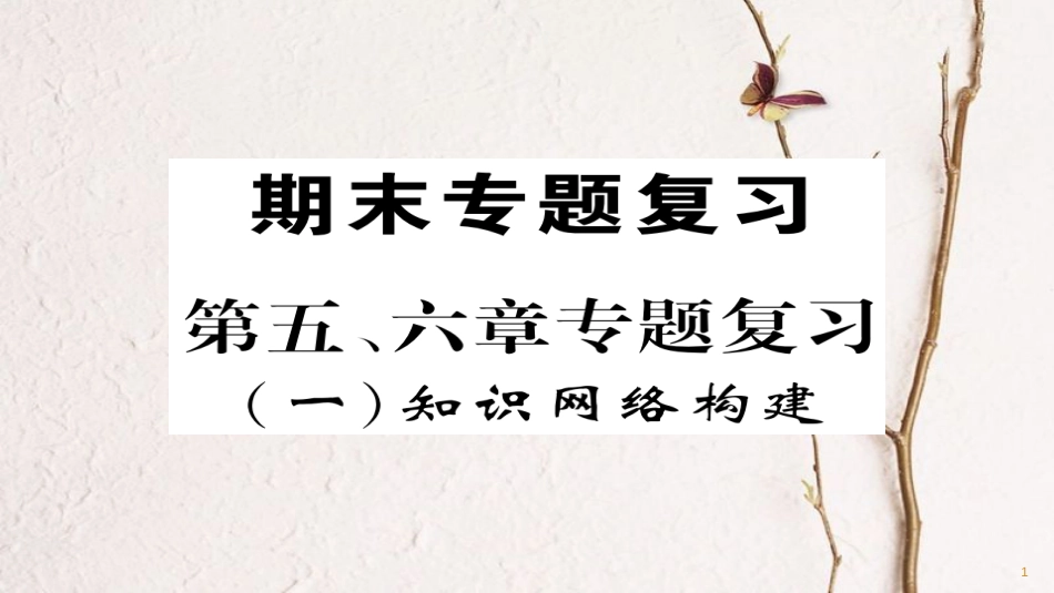 八年级地理下册 第五,六章期末专题复习课件 （新版）新人教版_第1页