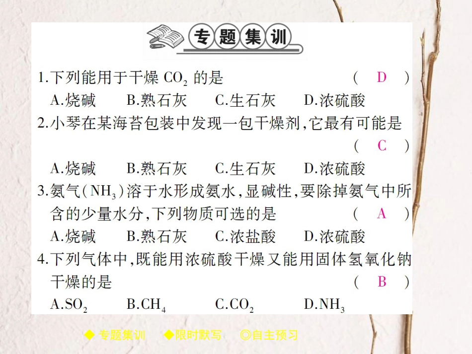 九年级化学下册 专题特训 常见的干燥剂及其应用习题课件 （新版）新人教版(1)_第2页