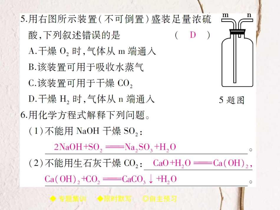 九年级化学下册 专题特训 常见的干燥剂及其应用习题课件 （新版）新人教版(1)_第3页