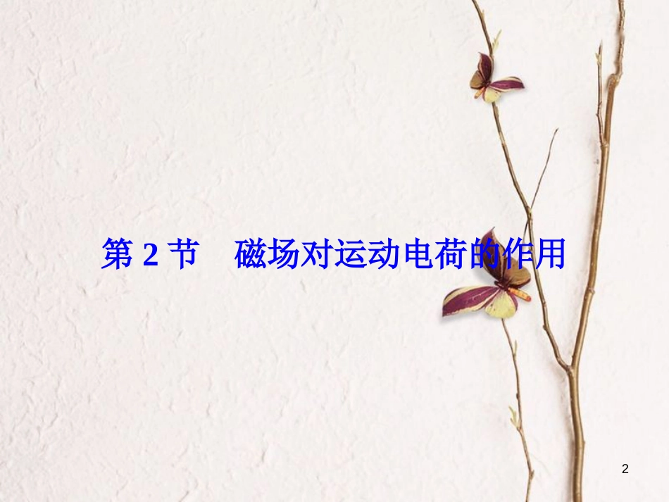 高考物理大一轮复习 第9章 磁场 第2节 磁场对运动电荷的作用课件(1)_第2页