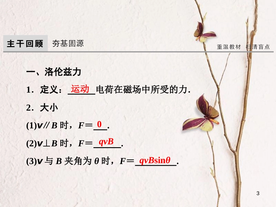 高考物理大一轮复习 第9章 磁场 第2节 磁场对运动电荷的作用课件(1)_第3页