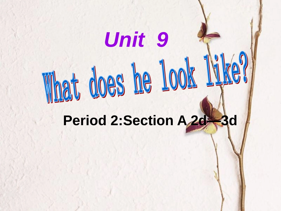 七年级英语下册 Unit 9 What does he look like Period 2教学课件 （新版）人教新目标版_第1页