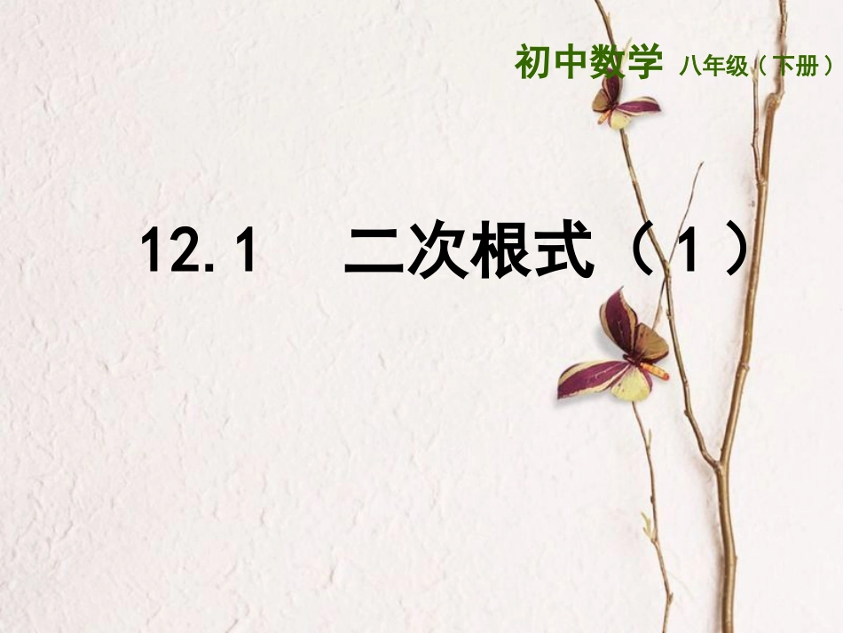 江苏省连云港市东海县八年级数学下册 第12章 二次根式 12.1 二次根式（1）课件 （新版）苏科版_第1页