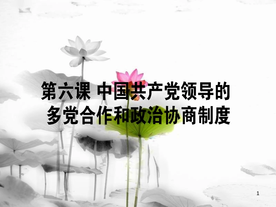 2019年高考政治一轮复习 第三单元 发展社会主义民主政治 6 中国共产党领导的多党合作和政治协商制度课件 新人教版必修2_第1页