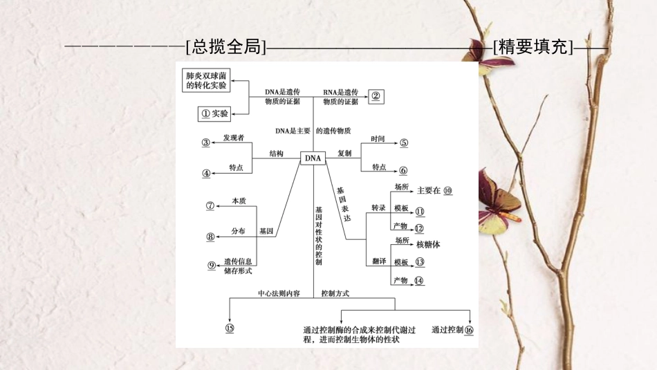 高三生物一轮复习 第6单元 单元高效整合课件 新人教版必修2_第2页