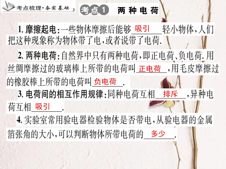 中考物理 专题19 电流和电路复习课件(1)_第3页