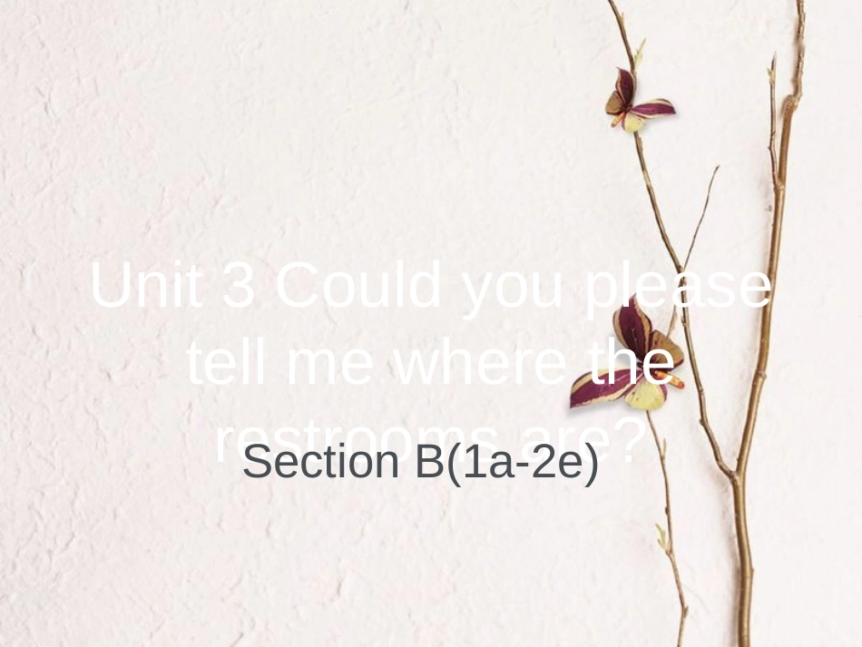 广东省汕尾市陆丰市九年级英语全册 Unit 3 Could you please tell me where the restrooms are Section B（1a-2e）课件 （新版）人教新目标版_第1页