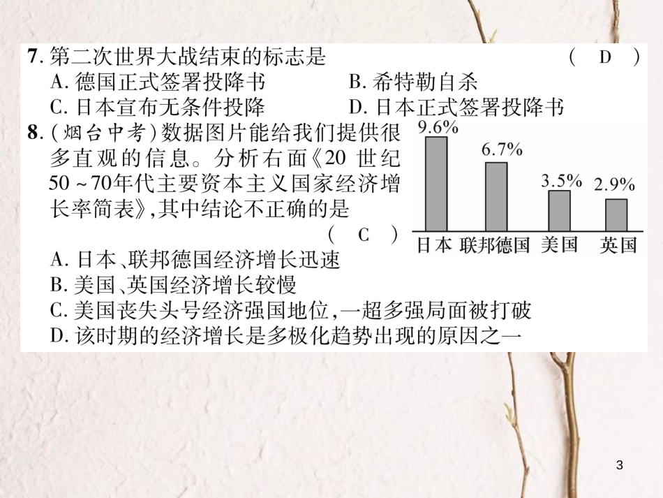 九年级历史下册 期末达标测试卷作业课件 新人教版(1)_第3页
