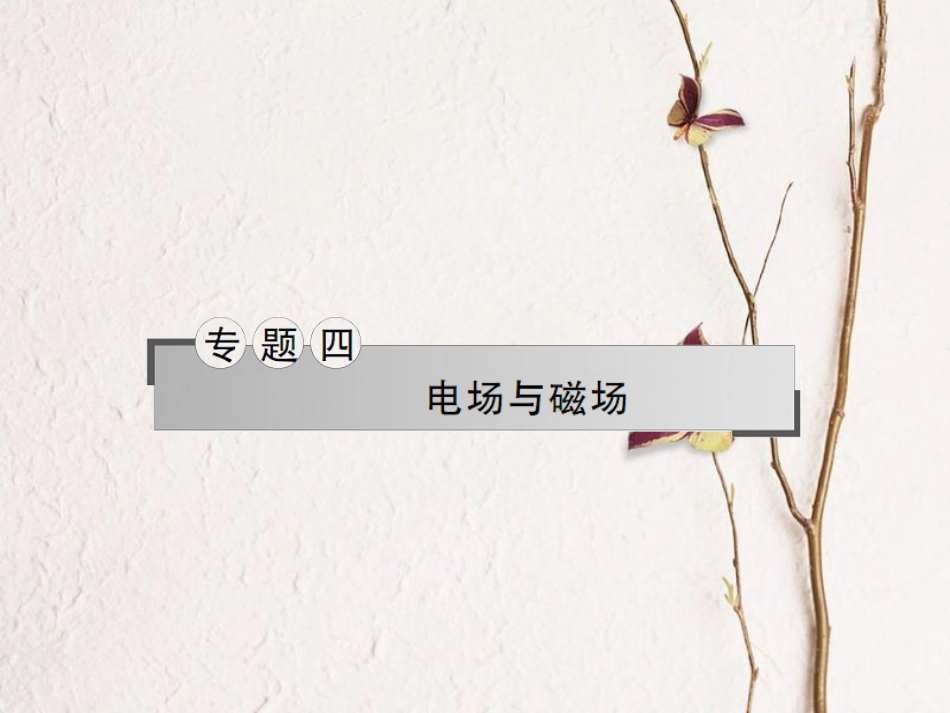 湖南省新宁县高考物理二轮复习 专题4 电场与磁场课件_第1页