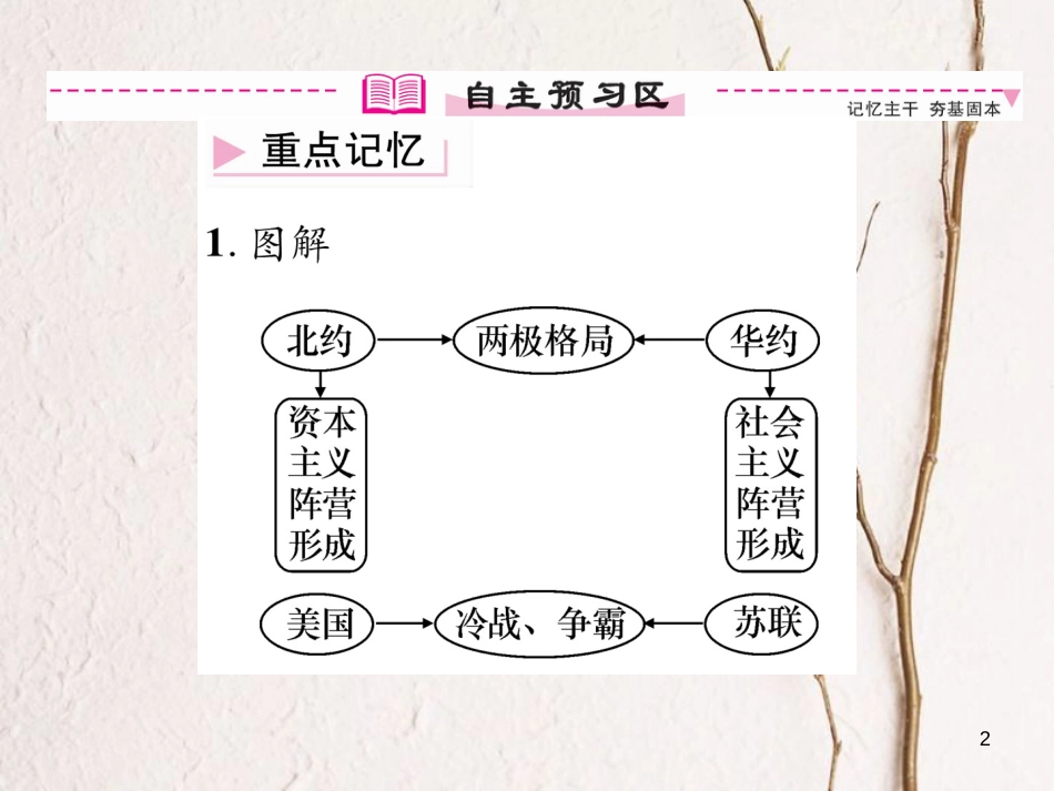 九年级历史下册 第七单元 战后世界格局的演变 第14课 冷战中的对峙作业课件2 新人教版(1)_第2页