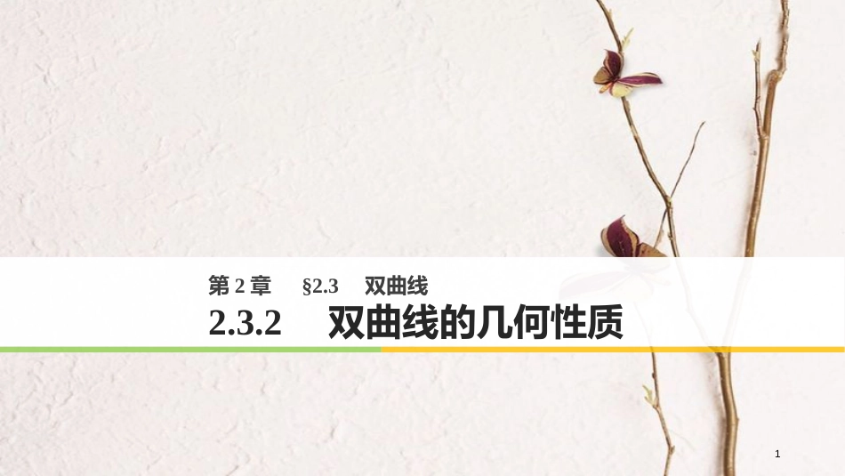 高中数学 第二章 圆锥曲线与方程 2.3.2 双曲线的几何性质课件 苏教版选修1-1_第1页