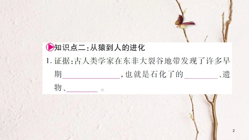 七年级生物下册 第四单元 第1章 人的由来习题课件 （新版）新人教版_第2页