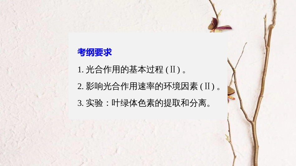 高考生物一轮复习 第3单元 细胞的能量供应和利用 第10讲 光与光合作用课件_第2页