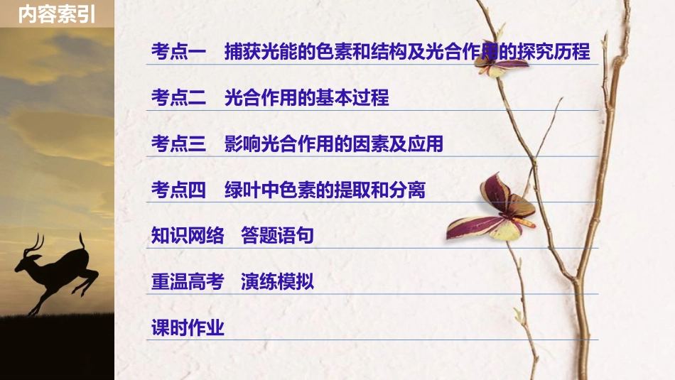 高考生物一轮复习 第3单元 细胞的能量供应和利用 第10讲 光与光合作用课件_第3页