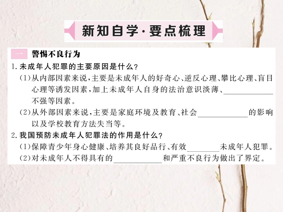 八年级道德与法治上册 第三单元 法律在我心中 第十一课 对违法说“不”第2框《警惕不良行为学会正当防卫》习题课件 人民版[共12页]_第2页