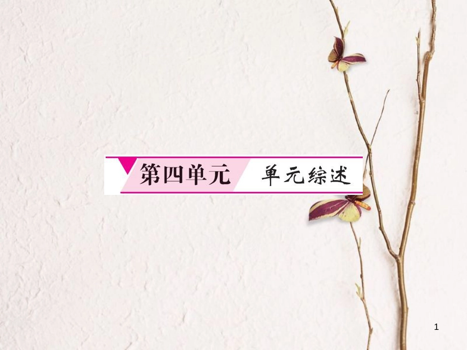 春八年级历史下册 第4单元 建设中国特色社会主义道路的开拓综述课件 岳麓版_第1页