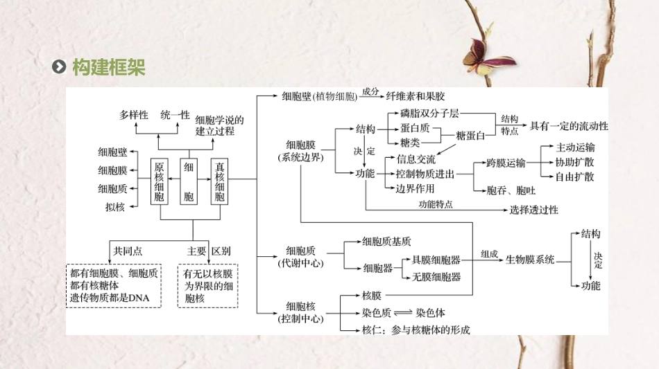 届高考生物二轮复习 专题 细胞的结构和功能 物质出入细胞的方式 细胞的结构和功能 物质课件_第2页