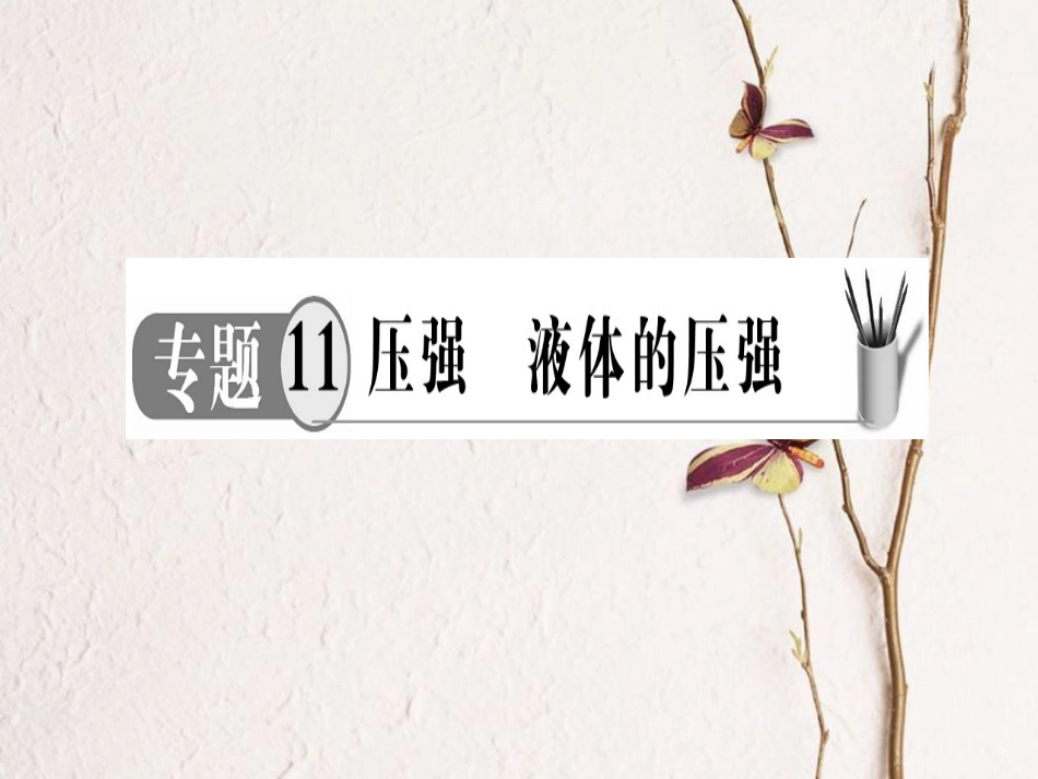 中考物理 专题11 液体的压强复习课件_第1页