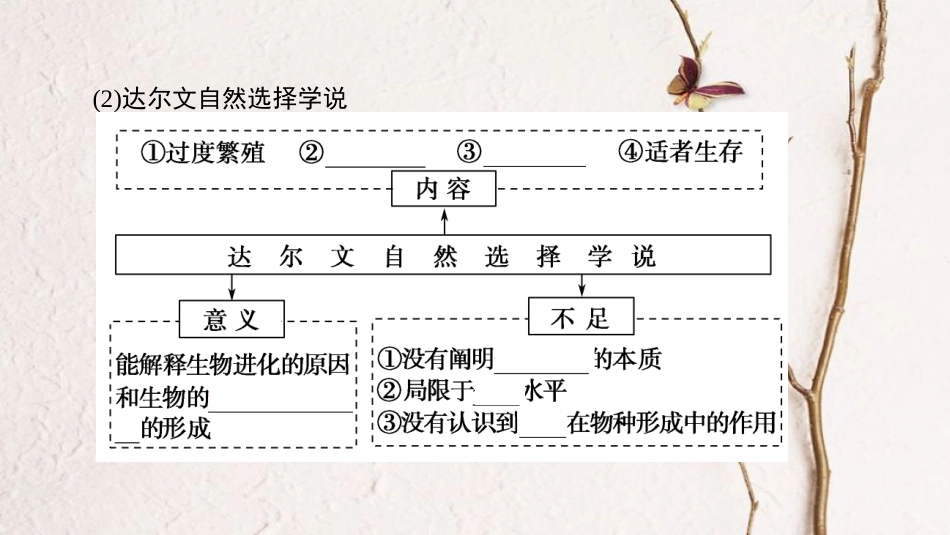 高三生物一轮复习 第7单元 第4讲 现代生物进化理论课件 新人教版必修2(1)_第3页