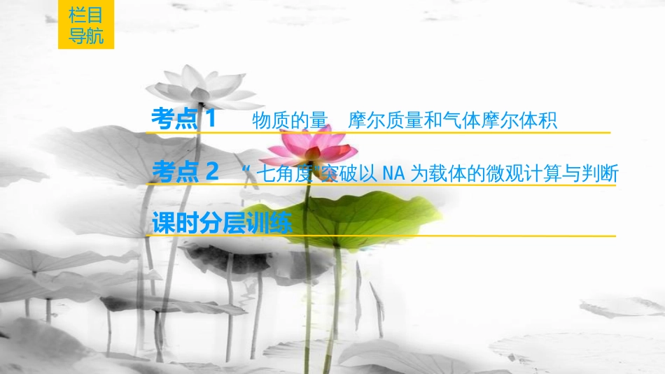 （全国通用）2019版高考化学一轮复习 第1章 化学计量在实验中的应用 第1节 物质的量 气体摩尔体积课件_第2页