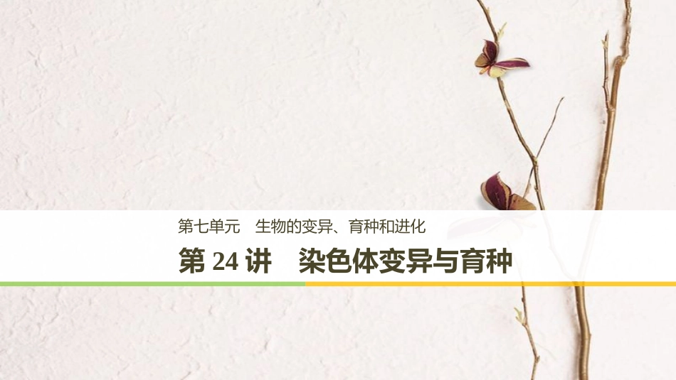 高考生物一轮复习 第7单元 生物的变异、育种和进化 第24讲 染色体变异与育种课件(1)_第1页