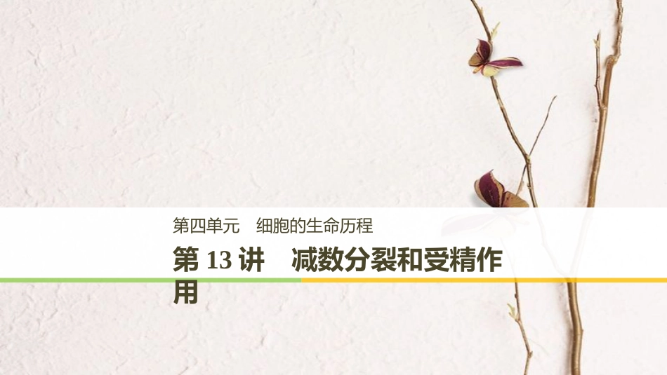 高考生物一轮复习 第4单元 细胞的生命历程 第13讲 减数分裂和受精作用课件_第1页