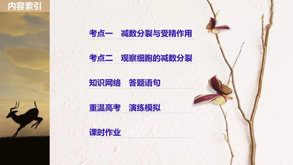 高考生物一轮复习 第4单元 细胞的生命历程 第13讲 减数分裂和受精作用课件_第3页