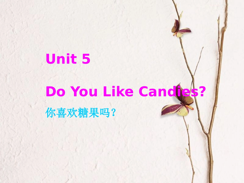 三年级英语下册 Unit 5 Do You Like Candies课件2 陕旅版_第2页