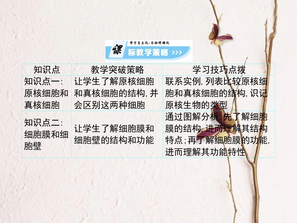 高中生物 第3单元 细胞的结构和功能 第2课时 细胞的类型和结构（一）复习课件 苏教版必修1(1)_第2页