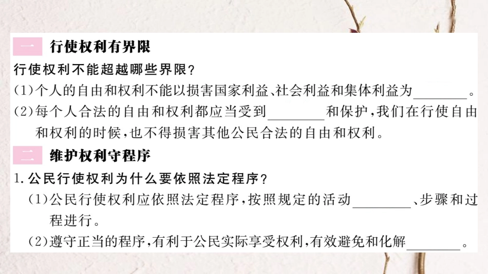 八年级道德与法治下册 第二单元 理解权利义务 第三课 公民权利 第2框 依法行使权利习题讲评课件 新人教版_第2页
