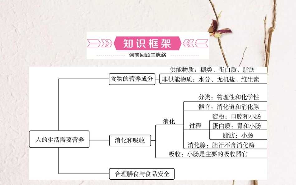 山东省济南市中考生物 第三单元 生物圈中的人 第一章 人的生活需要营养课件_第2页