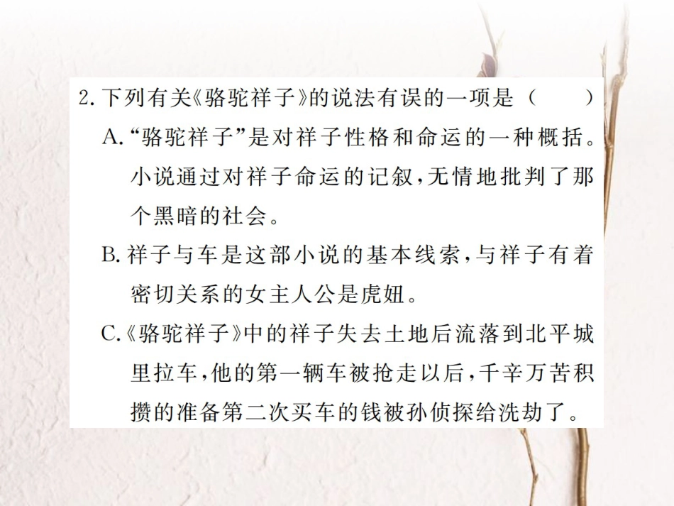 （江西专版）七年级语文下册 第三单元 名著导读习题课件 新人教版_第3页