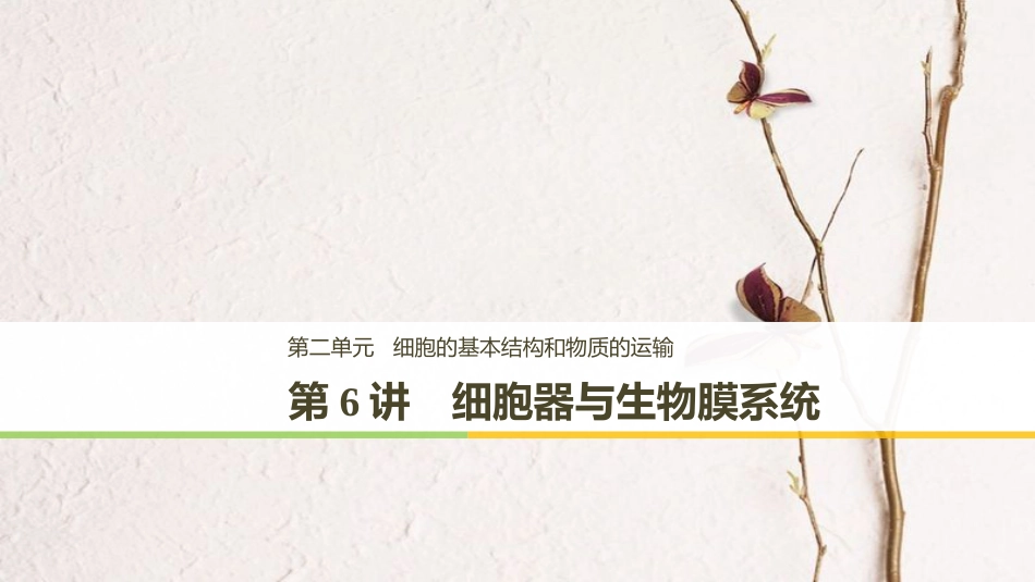 高考生物一轮复习 第2单元 细胞的基本结构和物质的运输 第6讲 细胞器与生物膜系统课件(1)_第1页