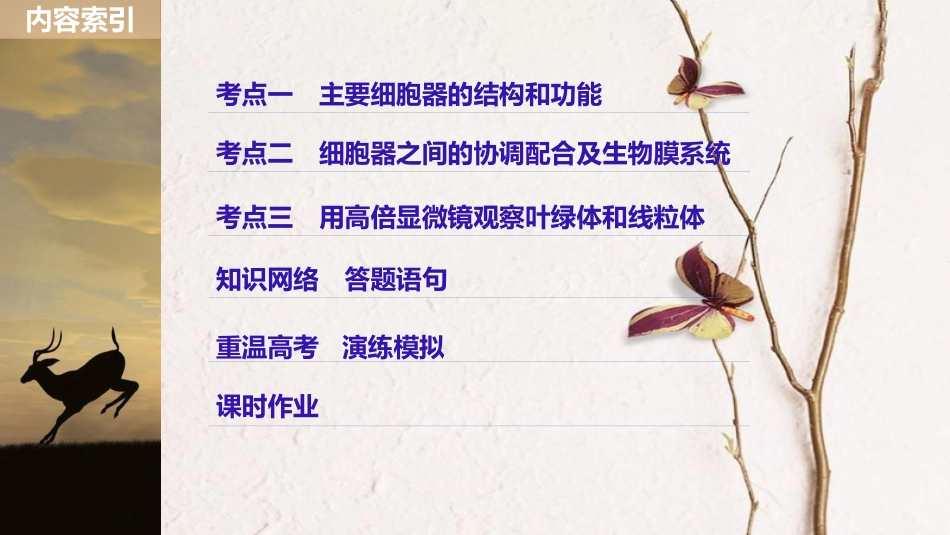 高考生物一轮复习 第2单元 细胞的基本结构和物质的运输 第6讲 细胞器与生物膜系统课件(1)_第3页