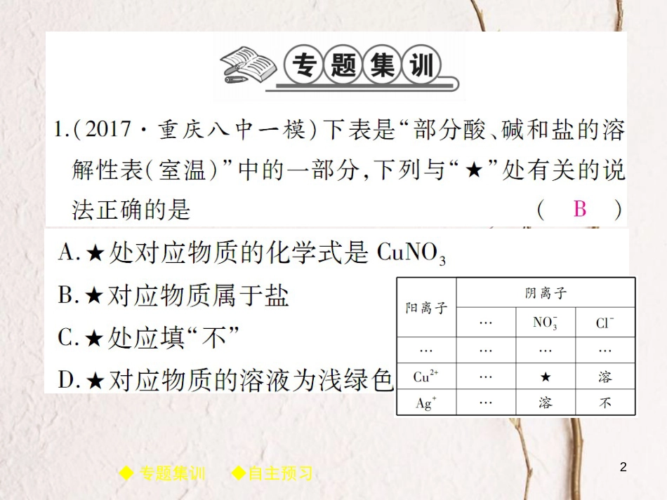 九年级化学下册 专题特训 盐的性质习题课件 （新版）新人教版_第2页