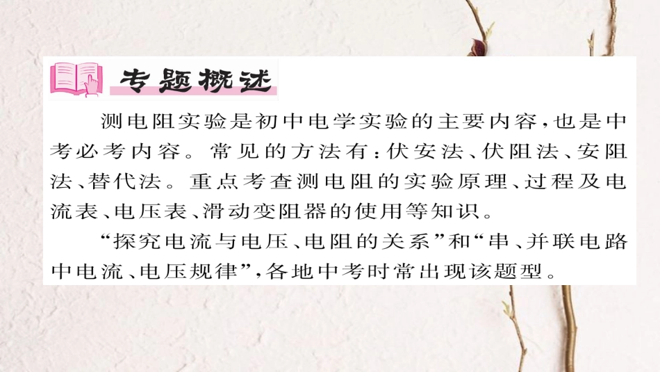 九年级物理全册 专题复习（3）探究电流与电压、电阻的关系  伏安法测电阻习题课件 （新版）新人教版(1)_第2页