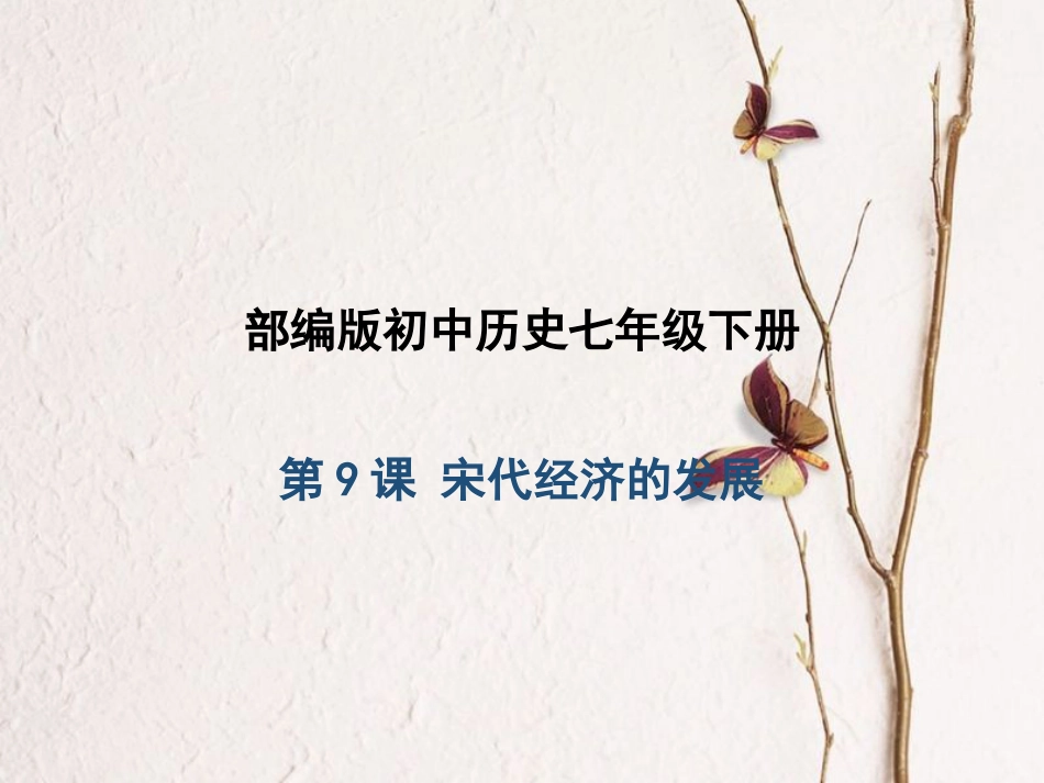 七年级历史下册 第2单元 辽宋夏金元时期：民族关系发展和社会变化 第9课 宋代经济的发展课件1 新人教版_第1页