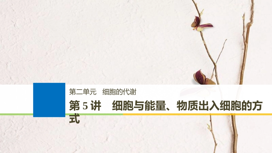 （浙江选考）高考生物一轮总复习 第二单元 细胞的代谢 第5讲 细胞与能量、物质出入细胞的方式课件_第1页