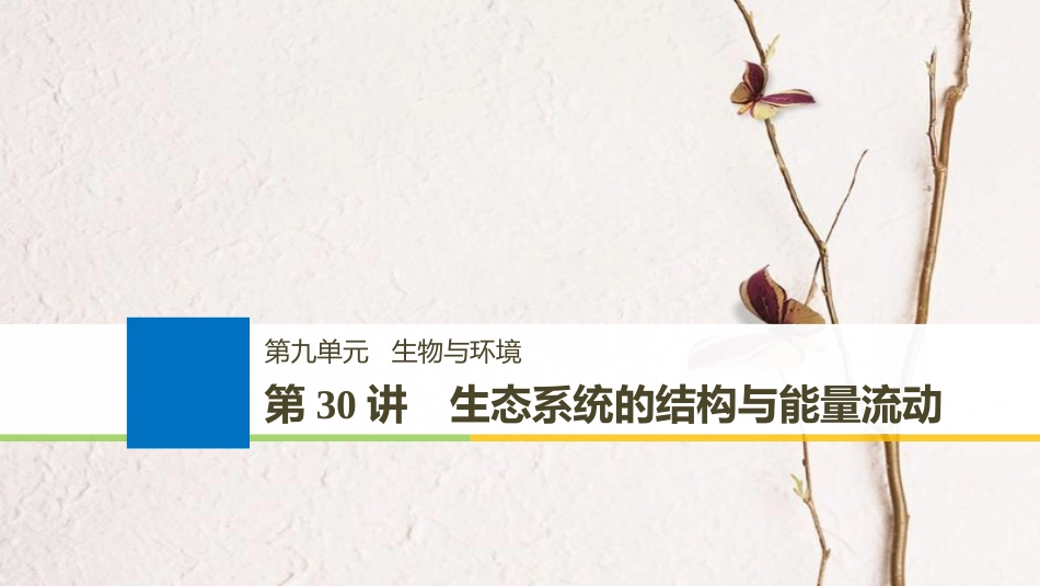 2019版生物高考大一轮复习 第九单元 生物与环境 第30讲 生态系统的结构与能量流动课件 北师大版_第1页